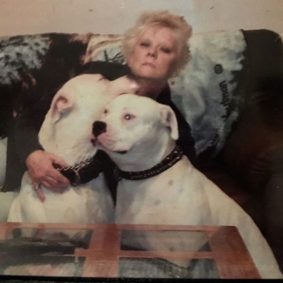 Meet your Posher, Victoria - Picture 1 of 1